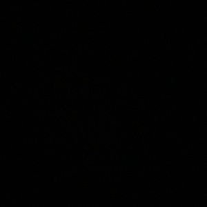 Meet your Posher, Richard